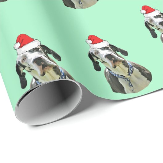 Harlequin Great Dane mit Weihnachtsmannmütze Geschenkpapier (Rolleneckpunkt)