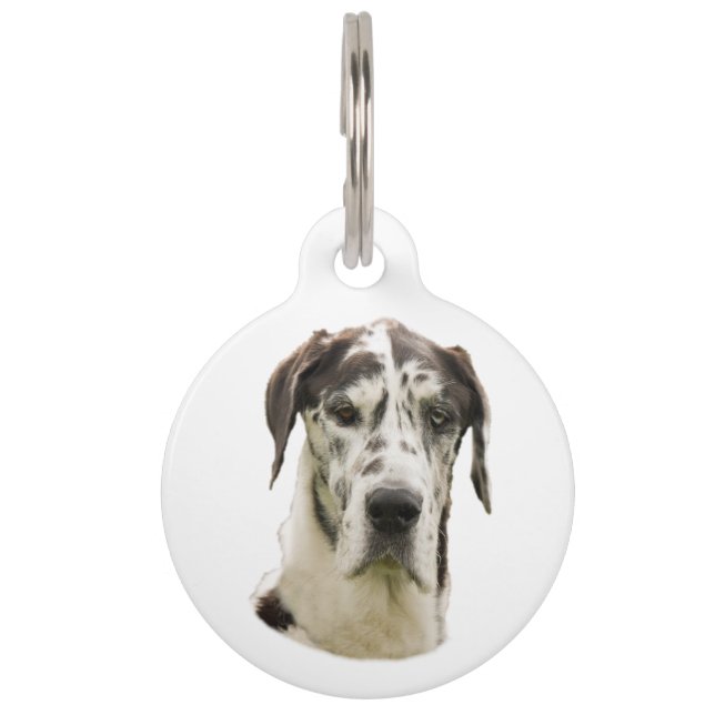 Harlequin Great Dane Pet Portrait Haustiermarke (Vorderseite)