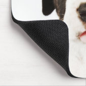 Harlequin Great Dane Welpe auf weißem Hintergrund Mousepad (Ecke)