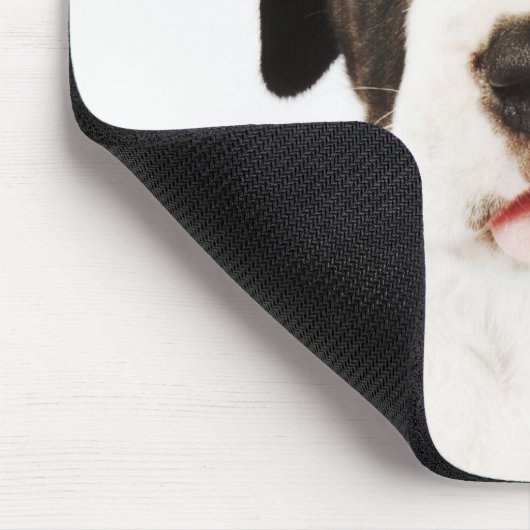 Harlequin Great Dane Welpe auf weißem Hintergrund Mousepad (Ecke)