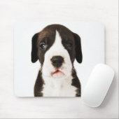 Harlequin Great Dane Welpe auf weißem Hintergrund Mousepad (Mit Mouse)