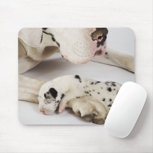 Harlequin Great Dane Welpe schlafen auf Mutter Mousepad (Mit Mouse)