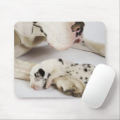 Harlequin Great Dane Welpe schlafen auf Mutter Mousepad (Mit Mouse)