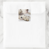Harlequin Great Dane Welpe schlafen auf Mutter Quadratischer Aufkleber (Tasche)