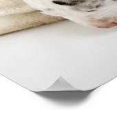 Harlequin Great Dane Welpe schlafend auf Mutter Poster (Ecke)