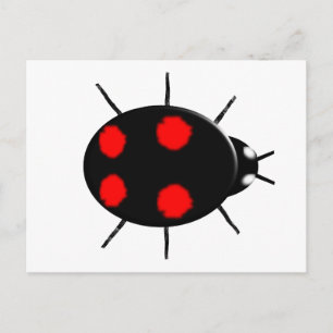 Harlequin Ladybird Postcard Postkarte