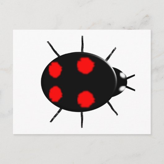 Harlequin Ladybird Postcard Postkarte (Vorderseite)