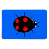Harlequin Ladybird Premium Magnet (Horizontal)
