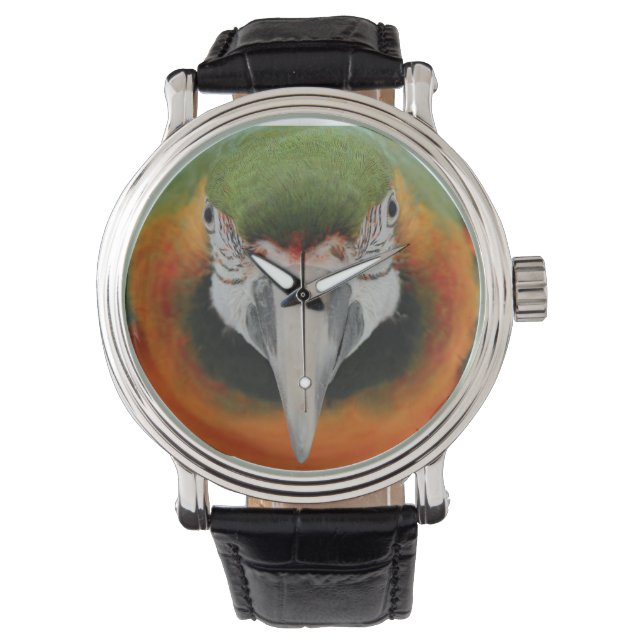 Harlequin macaw watch armbanduhr (Vorderseite)