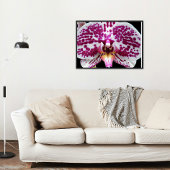 Harlequin Moth Orchid Foto Glossy Poster