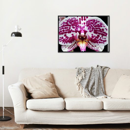 Harlequin Moth Orchid Foto Glossy Poster