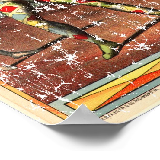 Harlequin - Not Poster (Ecke)