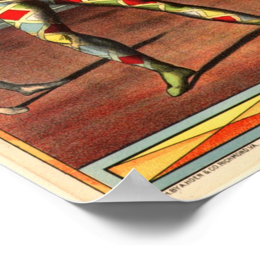 Harlequin Poster (Ecke)