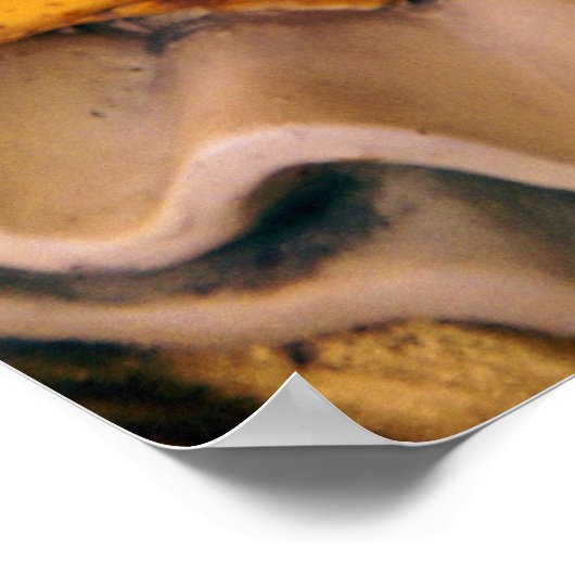 Harlequin Poster (Ecke)