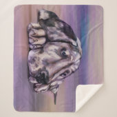 Harlequin Sherpadecke (Vorderseite)