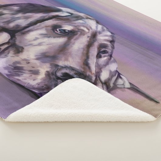 Harlequin Sherpadecke (3/4)