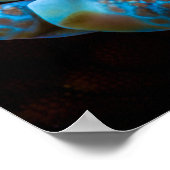 Harlequin Shrimp, Hymenocera picta, Poster (Ecke)