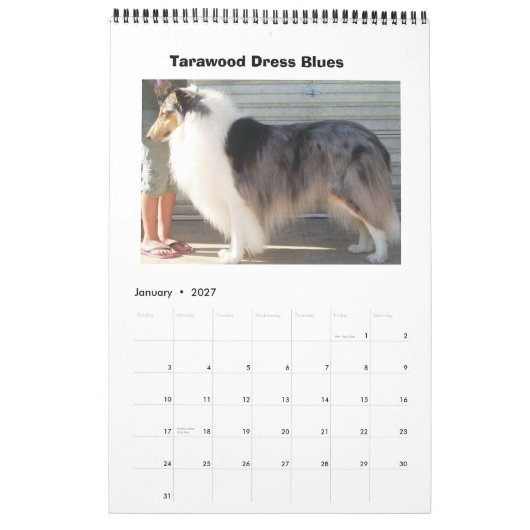 Harley Collieses Kalender (Jan 2027)