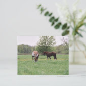 Harley & Lady Postcard Postkarte (Stehend Vorderseite)