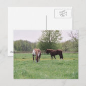 Harley & Lady Postcard Postkarte (Vorne/Hinten)