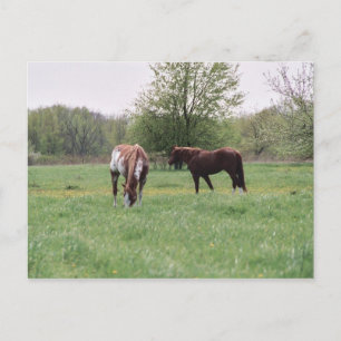 Harley & Lady Postcard Postkarte