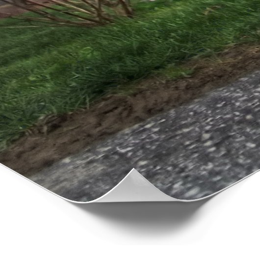 Harley Poster (Ecke)