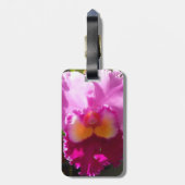 Harlinde Gepäckanhänger (Rückseite vertikal)