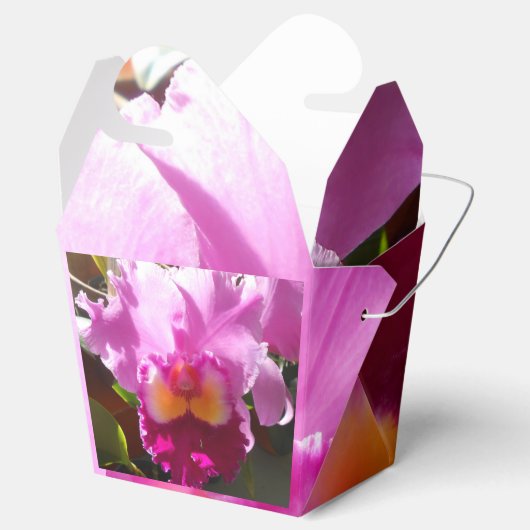 Harlinde Geschenkschachtel (Geöffnet)