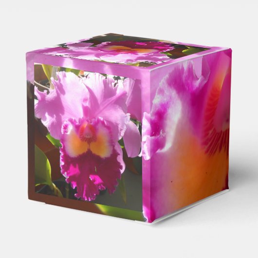 Harlinde Geschenkschachtel (Rückseite)