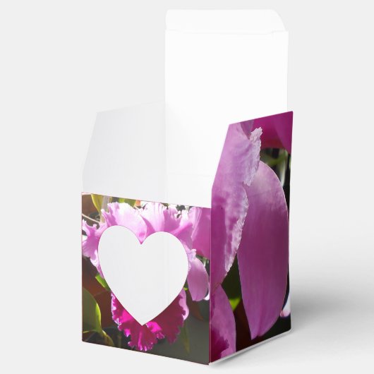 Harlinde Geschenkschachtel (Geöffnet)