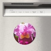 Harlinde Magnet (In Situ (Geschirrspüler))