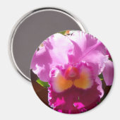 Harlinde Magnet (Vorderseite/Rückseite)