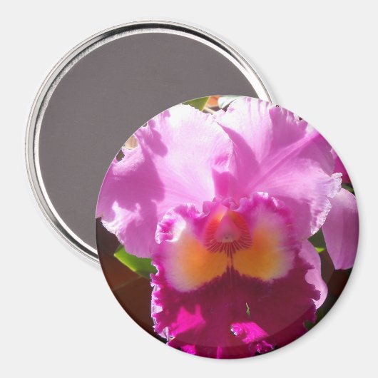 Harlinde Magnet (Vorderseite/Rückseite)