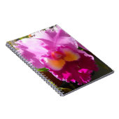 Harlinde Notizblock (Rechte Seite)