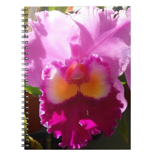 Harlinde Notizblock (Vorderseite)