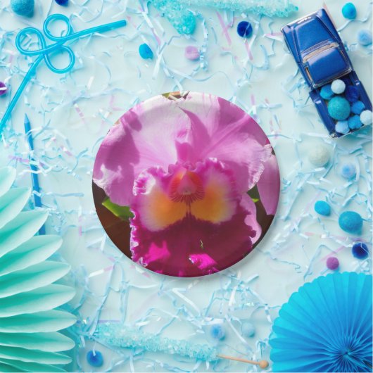 Harlinde Pappteller (Party)