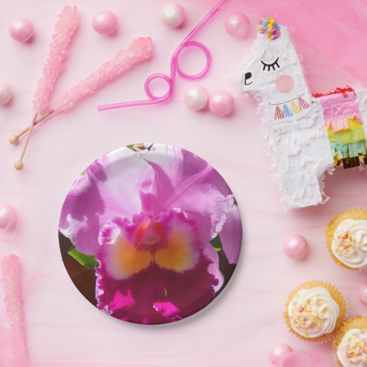 Harlinde Pappteller (Party)