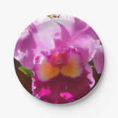 Harlinde Pappteller (Vorderseite)