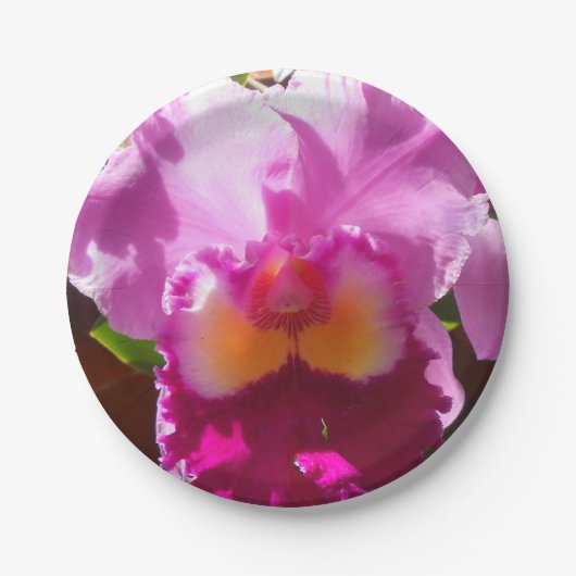 Harlinde Pappteller (Vorderseite)