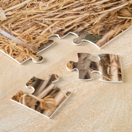 Harmal getrocknet puzzle (Seite)