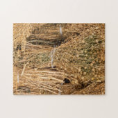 Harmal getrocknet puzzle (Horizontal)