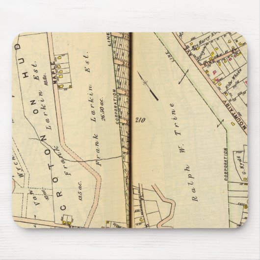 Harmon Park, New York Mousepad (Vorne)