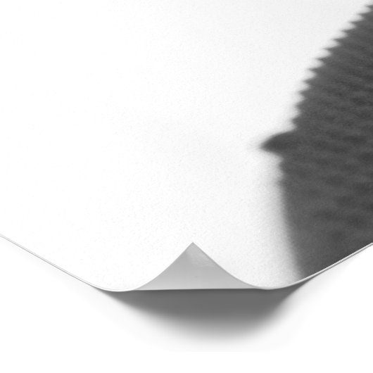 Harmonica Poster (Ecke)