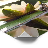 Harmonie auf dem Wasser: Frosch und Wasserlilie Poster (Ecke)