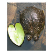 Harmonie Fotodruck (Vorne)