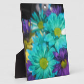 Harmonie Fotoplatte (Seite)