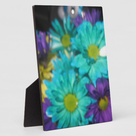 Harmonie Fotoplatte (Seite)