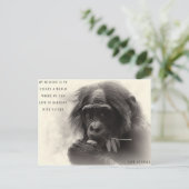 Harmonie mit der Natur Postkarte (Stehend Vorderseite)