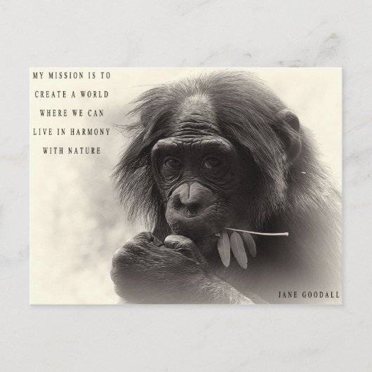 Harmonie mit der Natur Postkarte (Vorderseite)