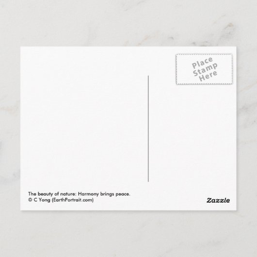 Harmonie Postkarte (Rückseite)